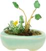 THE BONSAI Овальный горшок для растений Готовый продукт BONN04 1/12 [Светло-голубой]