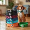 24h Delivery Pet Collar with Apple AirTag for Dog Tracking and Anti-Lost Protection