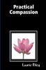 Книга Practical Compassion