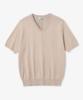 POLYGRAM Cool Touch Essential V-Neck Short Sleeve Knit - 7 Colors