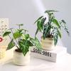 Реалистичные Искусственные Растения Бонсай Элегантные Вечнозеленые Искусственные Тропические Растения с Керамическим Цветочным Горшком Не Требующие Полива