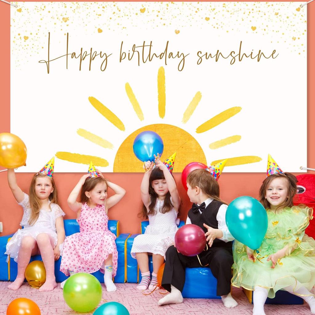 Boho Sun Happy Birthday Sunshine Backdrop Banner First Trip Around the Sun Wall Hanging Decor Muted Sunrise Theme Birthday Party Photography