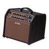 Acoustic Singer Live BOSS Acoustic Guitar Amplifier 60W BOSS/ACS-LIVE