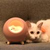 Милое гнездо котенка Ночник Сенсорный ночник для кошек Перезаряжаемый для спальни Детской Комнаты Подарок Сладкая и уютная атмосфера