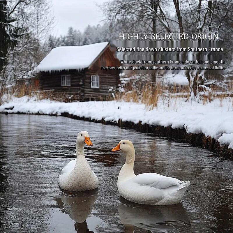 Water Mercury French White Duck Down Winter Quilt