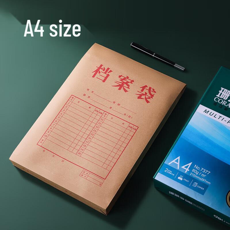 Deli DP068 Kraft File Bag