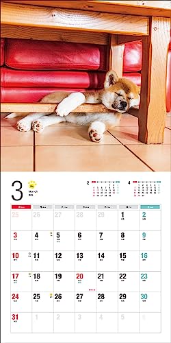 Календарь 2024 Акита-ину (Календарь Seibundo Shinkosha)