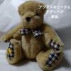[USED] Teddy Bear Aquascutum. Height 20cm. Stuffed Bear.