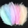 50Pcs Factory Custom Macaron Feathers Colored Pointed Tail Fleece Turkey Feather Dream Catcher Decorative Material Bobo Ball Gift Box Filling
