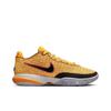 Nike LeBron 20 EP James Gang DJ5422-801