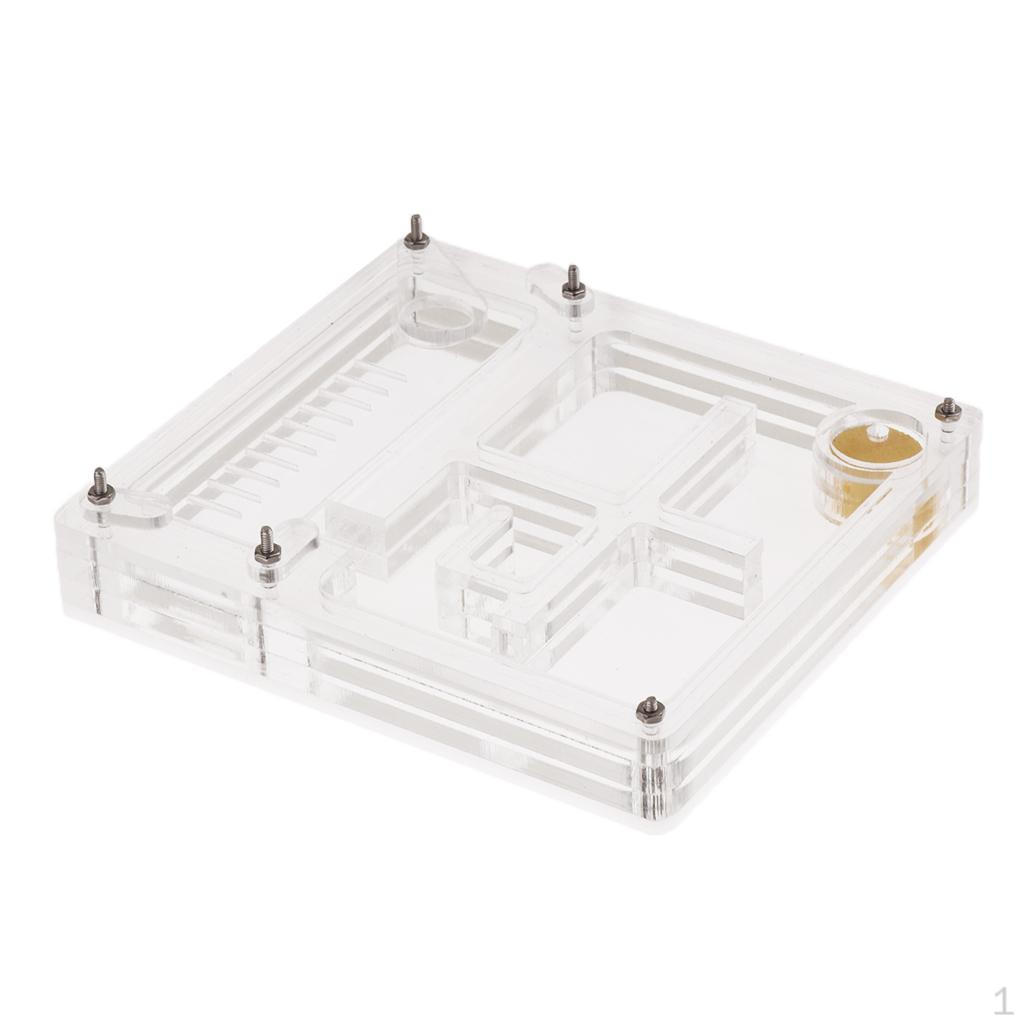 Housing Acrylic Nest Feed Farm Formicarium 1.7cm