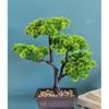 1 Pcs Artificial Small Bonsai Flower with Designer Pot | Realistic Looking - No Maintenance | Flower Pot for Home Decor,Office Decor
