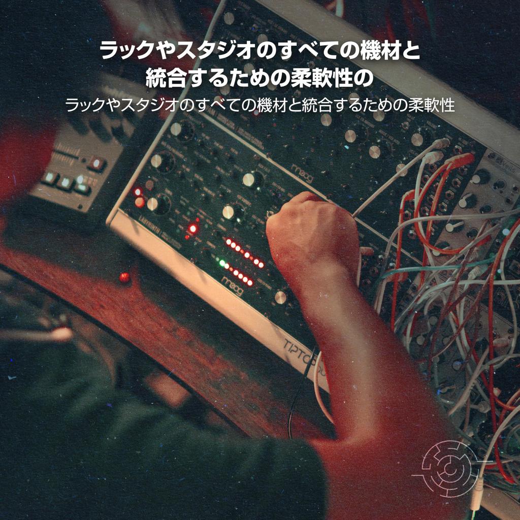 MOOG Labyrinth Parallel Generative Analog Synthesizer Dual Sequencer VC Wave Folder VC Filter Patchbay Semi-Modular