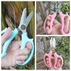 Purple Garden Pruning Shears Blue Garden Scissors Hand Cutter Floral Scissors  Gardening Supplies