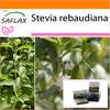 Garden in the Bag - Sweet Leaf of Paraguay - 100 семян - С субстратом в подходящем пакете - Stevia rebaudiana