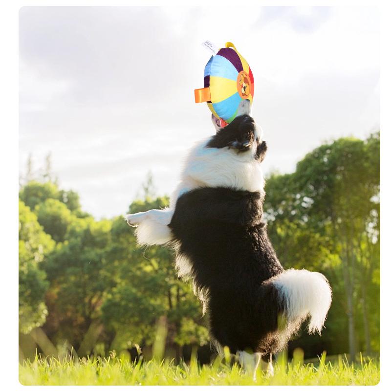 Игрушки для собак Летающая тарелка Интерактивные уличные спортивные обучающие игры Устойчивые жевательные игрушки для щенков Летающие диски Мягкая плюшевая летающая тарелка