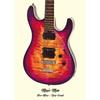 Famous Guitars Used By Famous Bands and Singers Music Posters Prints Canvas Printing Wall Art Picture for Living Room Home Decor