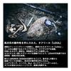 DAIWA Spinning Reel 23 LEXA LT4000-CXH