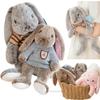 Cute Big Ear Bunny Plush Doll Cartoon Stuffed Animals Rabbit Wear Sweater Soft Baby Accompany Sleeping Pillow Girl Birthday Gift