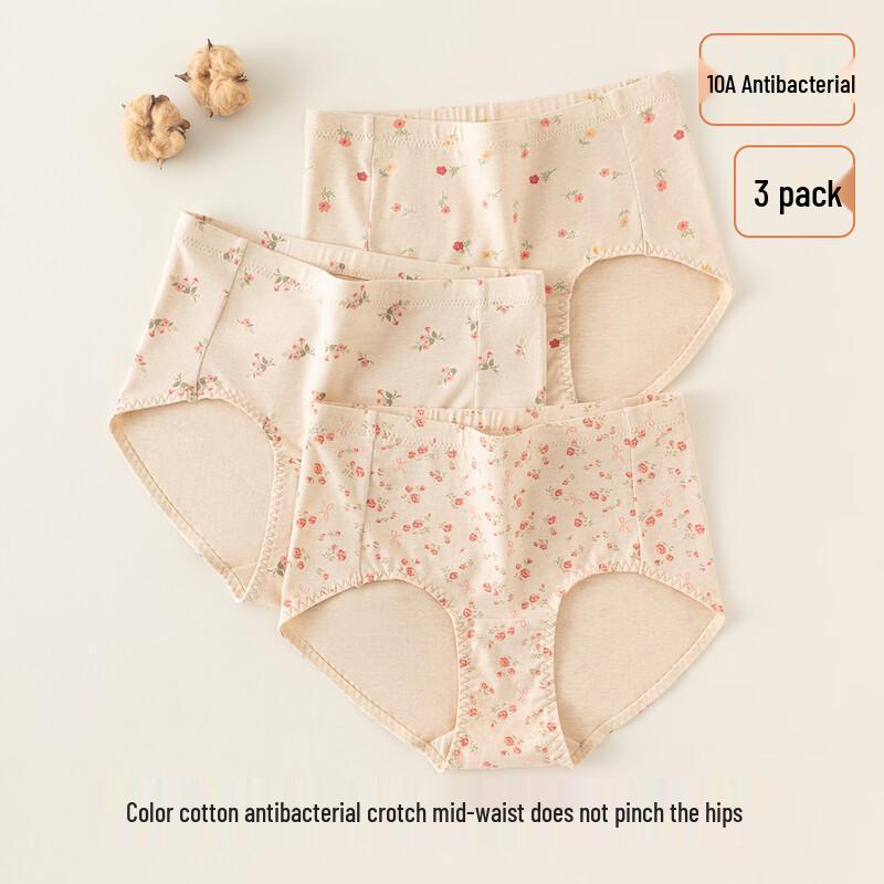 Ding Guagua Women's Cotton Printed Briefs (3-Pack)