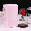 Valentine's Day gift, dried flower glass cover, rose led night light ornament, small gift for girlfriend