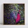 Алмазная картина Животные Картина Бисероплетение Стразы Павлин Алмазная вышивка