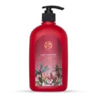 Yahvi Onion Shampoo Шампунь против выпадения волос 500мл