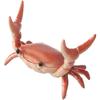 Japanese Creative Cute Crab Pen Holder Weightlifting Crabs Pen Holder Stand Bracket Storage Pen Rack School Office Home Store Accessories