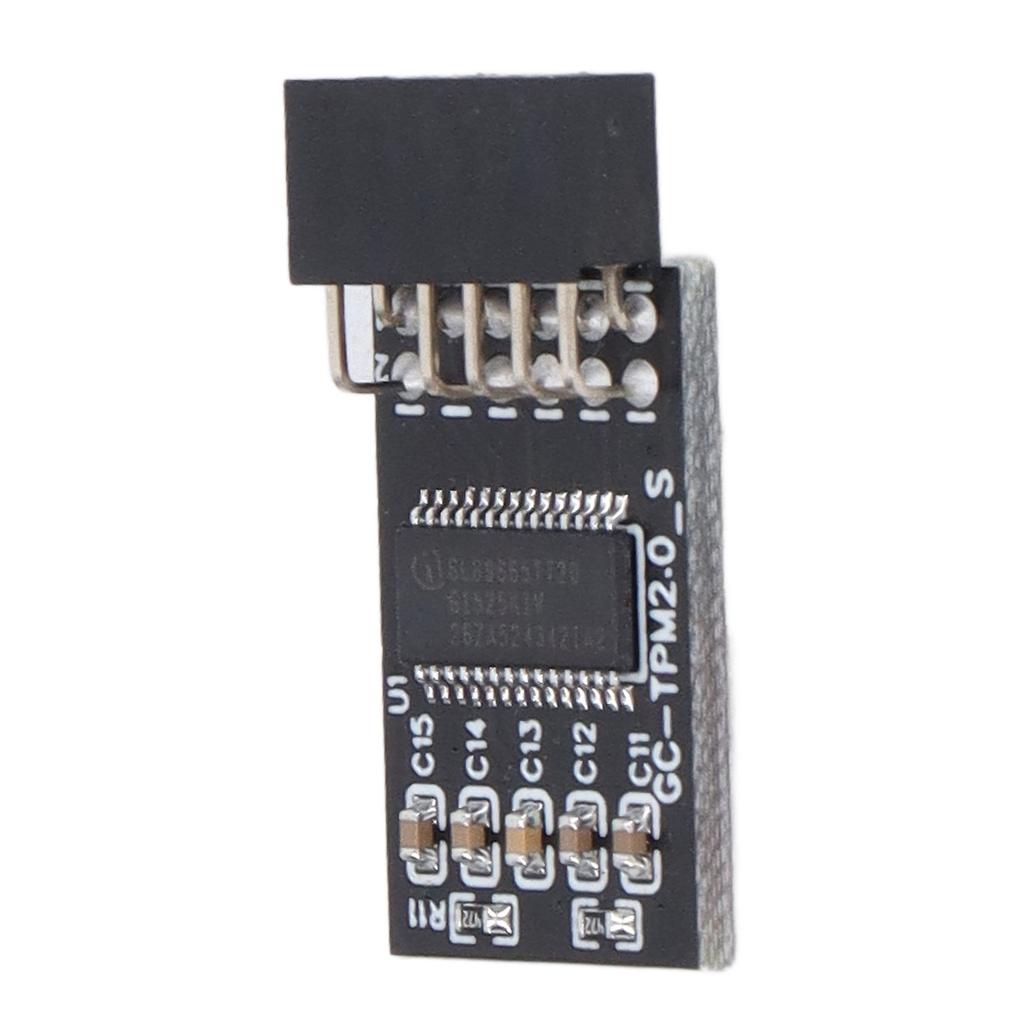 Модуль TPM 2.0 LPC SPI 12Pin Remote Card Encryption Security Board Аксессуар для GIGABYTE