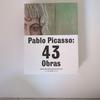 [ИСПОЛЬЗОВАН] Пабло Пикассо: 43 Образа