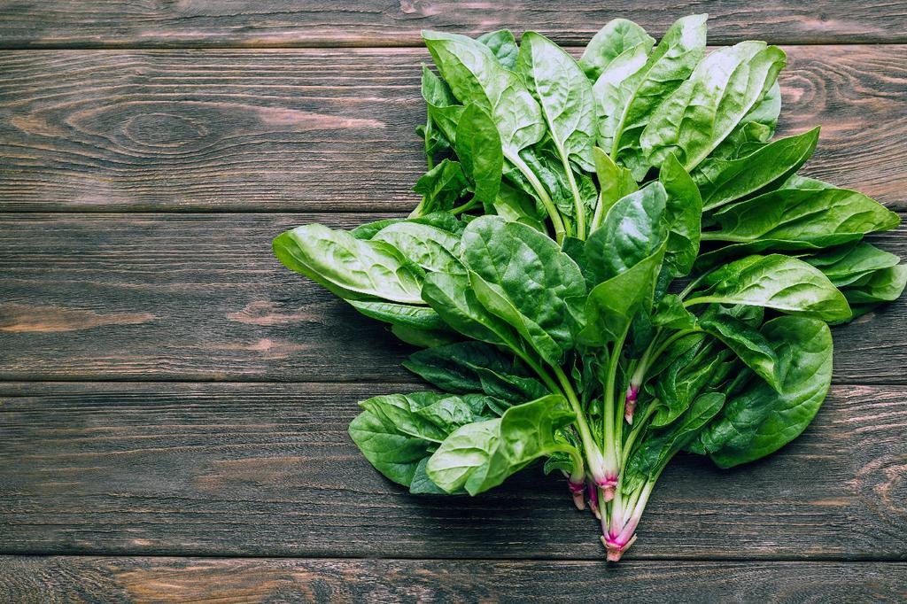 SAFLAX Garden in the Bag - Органический - Шпинат - Giant Winter - 250 семян - С субстратом в подходящем пакете - Spinacia oleracea