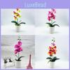 Bonsai Artificial Phalaenopsis Green Plant For Living Room Decor Present Gift