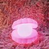 "Cartoon LED Night Light for Kids - Creative, Luminous Shell Design"