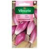 Red Onion Rossa Lunga Di Firenze Seeds 2g - VILMORIN