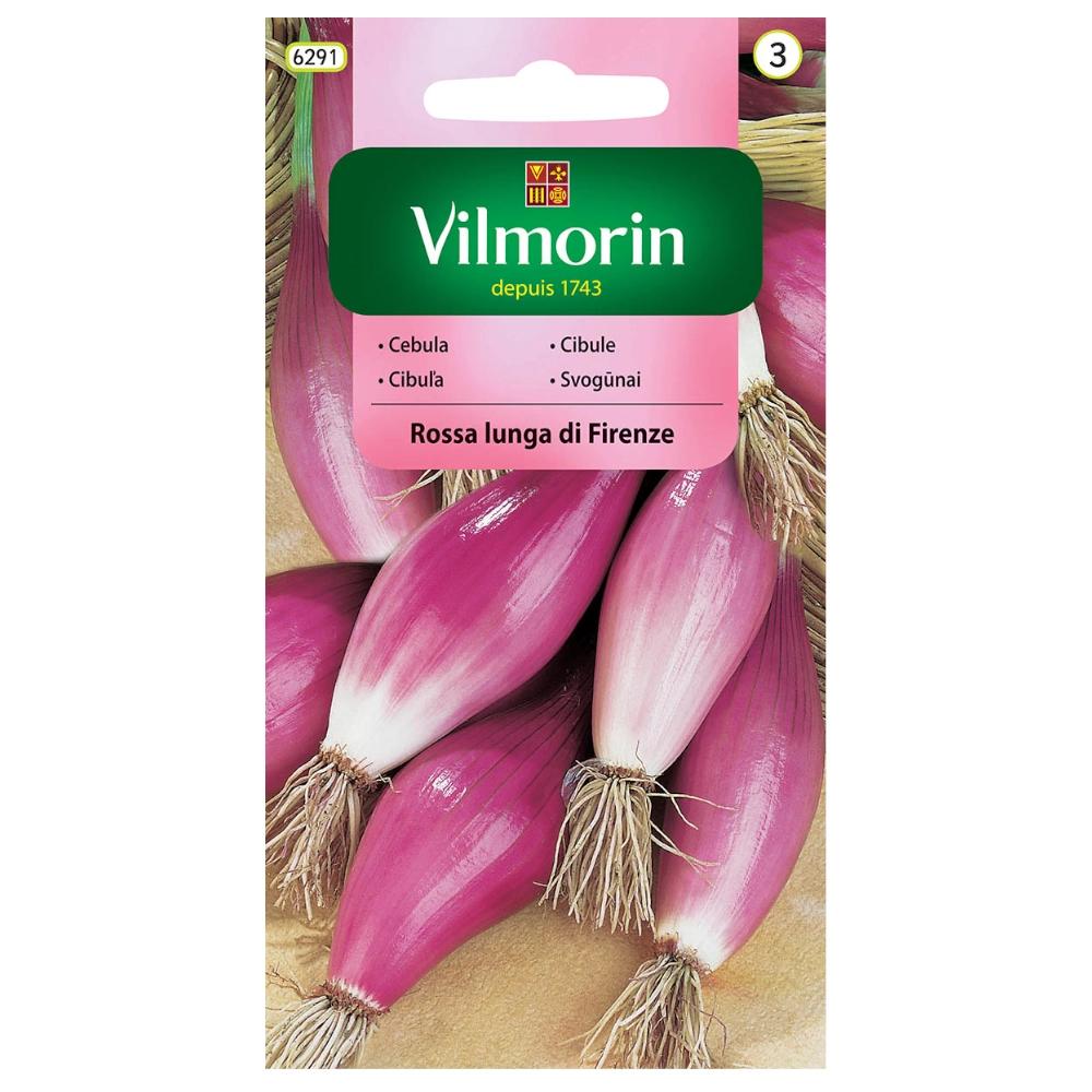 Red Onion Rossa Lunga Di Firenze Seeds 2g - VILMORIN
