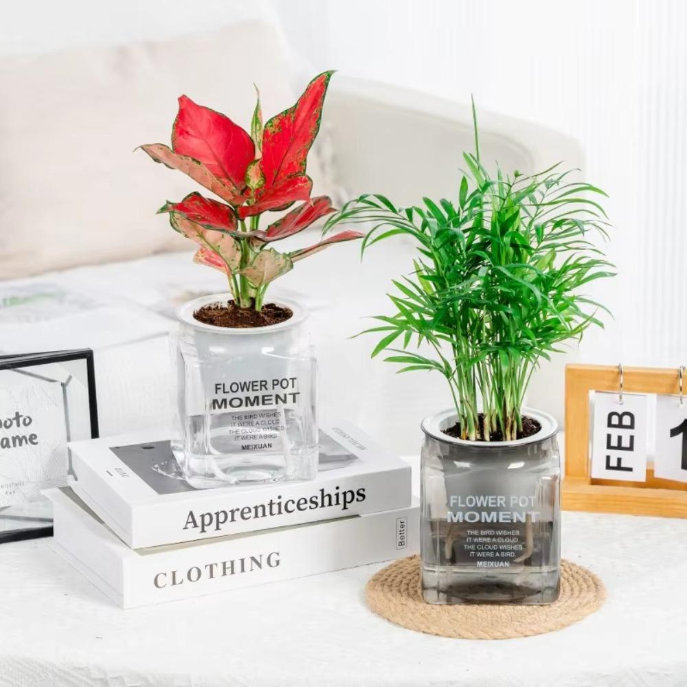 Plastic Hydroponic Plants Pot Self Watering Office Bonsai Decor