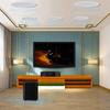 SANSUI T5 5.1 Home Theater Ceiling Speaker System (CN version)