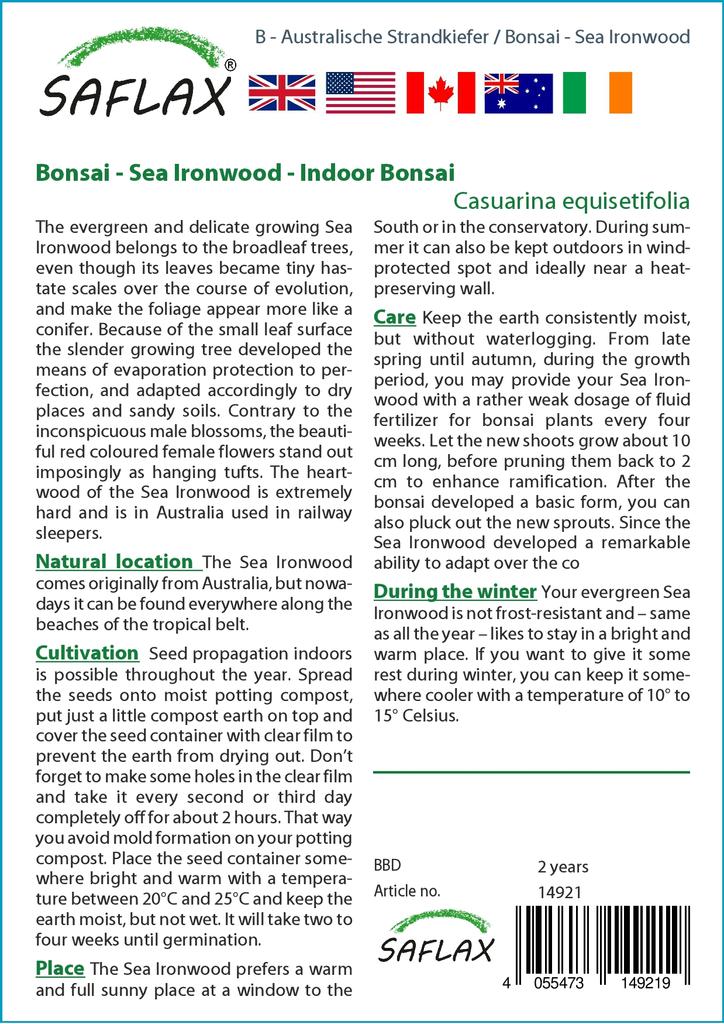 SAFLAX Бонсай - Sea Ironwood - 200 семян - Casuarina equisetifolia