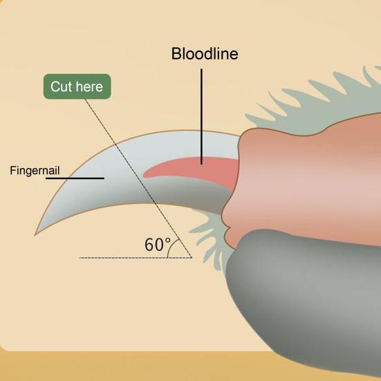 Машинка для стрижки ногтей для домашних животных со светодиодной подсветкой, острое лезвие из нержавеющей стали, эргономичная ручка, собака, кошка, кролик, триммер для когтей мелких животных, ножницы, инструмент для ухода за домашними животными