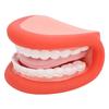 Ротовая кукла с языком, зубами, модель щетки для коррекции речи, для мальчиков и девочек, образовательные инструменты