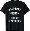 Футболка унисекс Property of Great Pyrenees Pyrenees Dog Lover