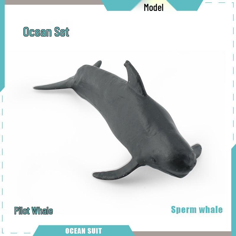 Children's Marine Animal Model Set: Mini Whale, Shark, Dolphin, Turtle, Sea Lion
