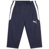 Puma Тренировочные брюки Team Liga 3 4