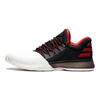 adidas Харден Вол. 1 Кроссовки 'Pioneer' BW0546