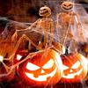 Halloween Pumpkin Skeleton Decorations with Posable Joints Skeletons for Halloween Party Haunted House Props Decorations