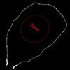 Lanyard Beaded Eyeglass Man Silver Women Beads Fashion Straps Reading Sunglasses Glasses Chain Gold