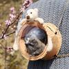 Сумка-переноска для питомцев Дышащая Милый декор в виде куклы Портативная Для маленьких животных Хомяк Шиншилла Путешествия