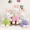 Комбинезон Тюльпан Пача Кролик Плюшевые Игрушки Подарок на День Рождения Девочки Обмен Кукла Подушка для Автомобиля