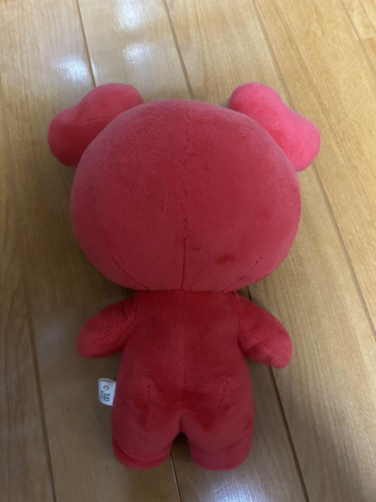 [USED] TWICE Chaeyoung Chaebree Plush Toy