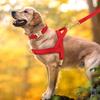 Customized Leather Dog Collar Harness Leash Set Personalized Pet Mesh Vest Harness ID Pet Leads For Small Medium Large Dogs
